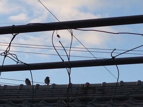 百歩譲ってみると何か解るかも。