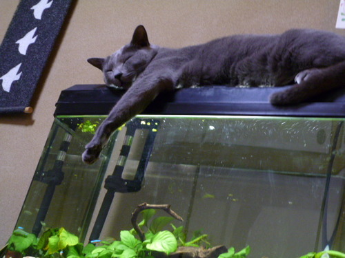 いつもの場所。