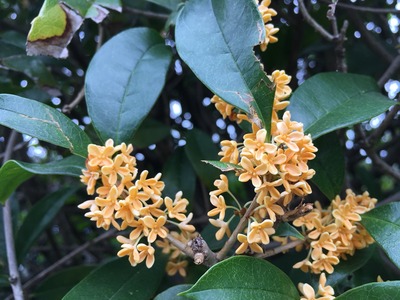 満足すると次へいける。