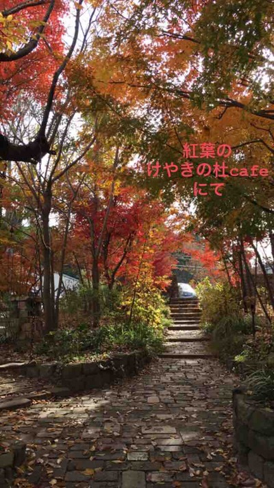 家から5分のお気に入りの場所。