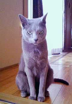 みんなホントは淋しがりや。