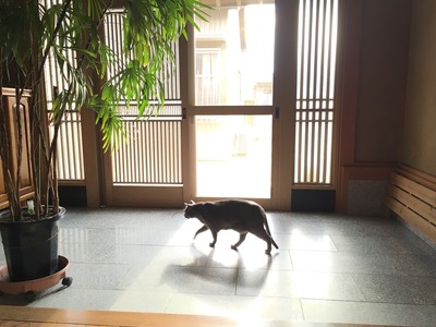 今年一年ありがとうございました。