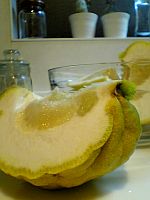 ある冬の日に。