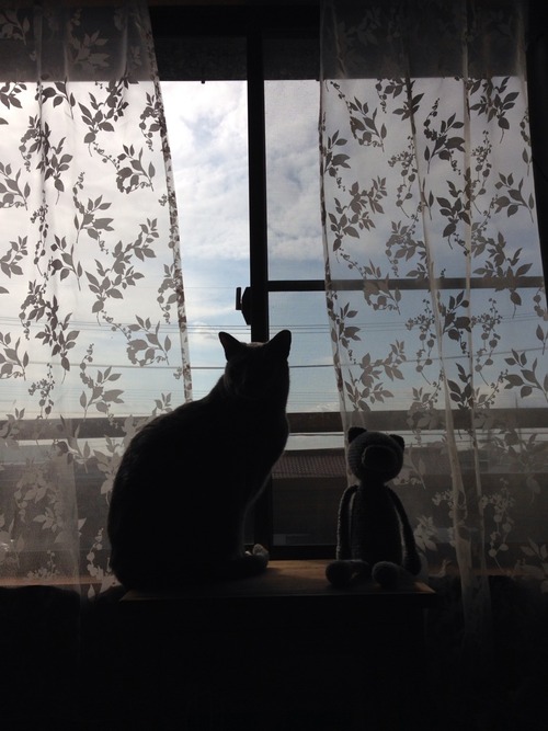 日常戻りつつ。