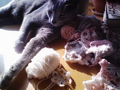 やさしげ色のマフラー。