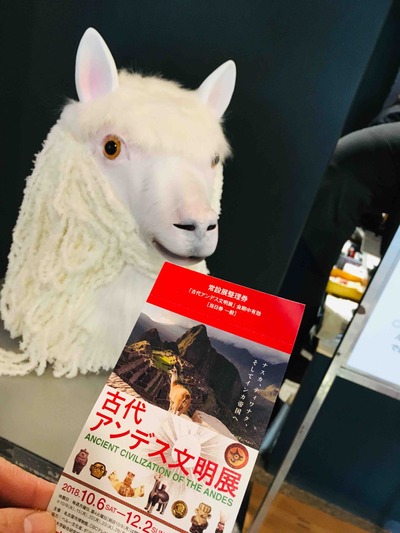 アンデスってなんです？