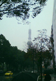 雨の日もいいものです。