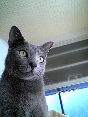 ・・・そうだね。