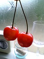 銀河鉄道に乗って。