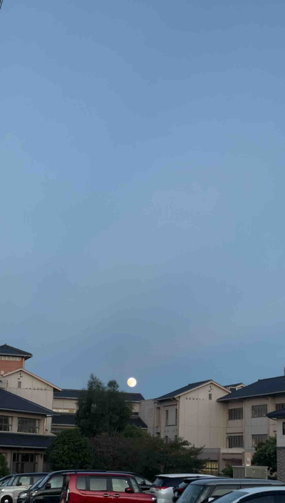 月よりだんご。