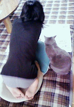 新聞を読みましょう。