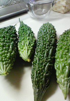 Greenカーテン。