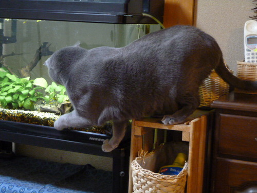 住む世界が違うから。