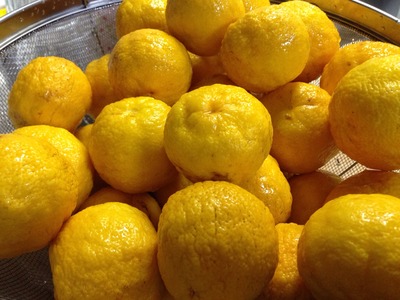 思い立ったが吉日。