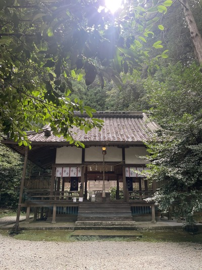 やっぱり奈良が好き。