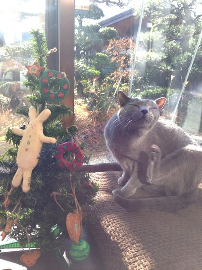 Happy Holidays！