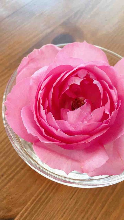 人も花も風もみんな同じ。