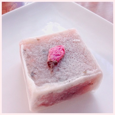 桜、咲いてますね。