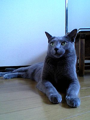 ひとりごとです。