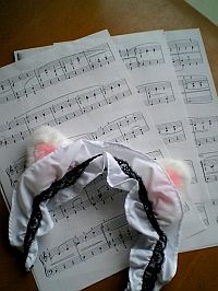 やるしかない。