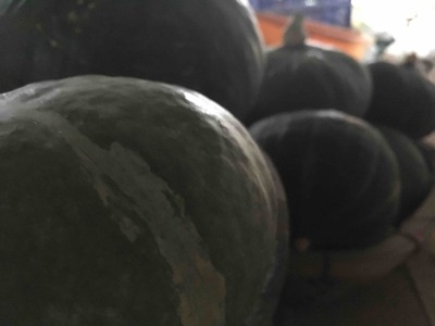 ぶつぶつ交換っていいな。