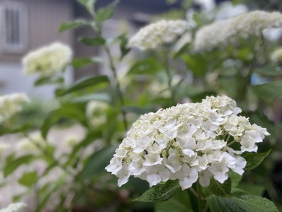 また季節が変わる。