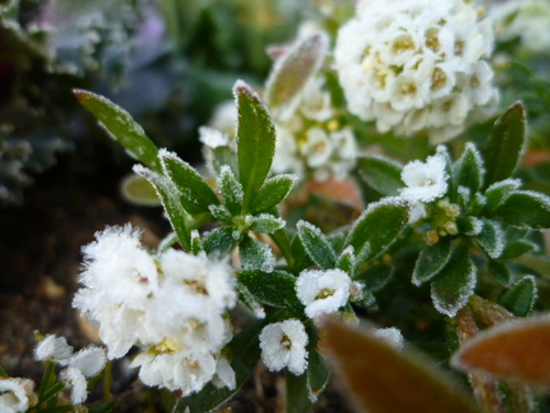 見逃さないように。