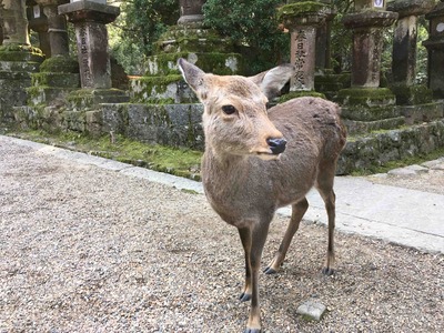 行きたいところが行くべきところ最後。