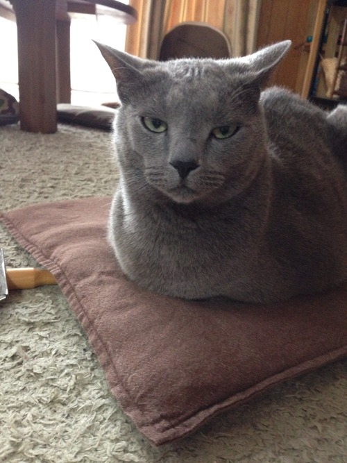 とにかくいっぺん満足してみる。