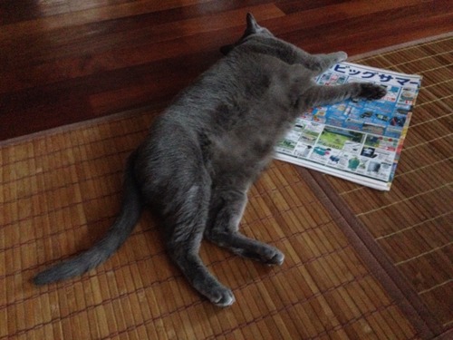 ビッグサマー。