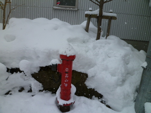 モノクロの街に赤。