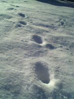 前向きなyesterdayを弾く私２。