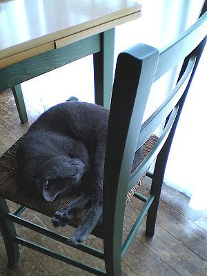 手帳に書いてみた。