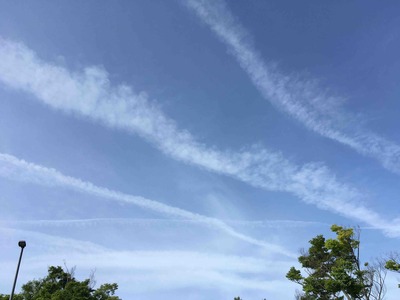 プチドラ2023春。