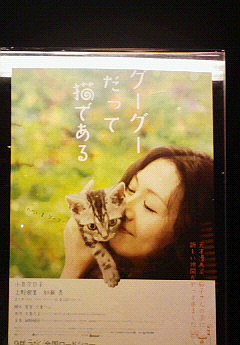 二度目の猫は得ですね。