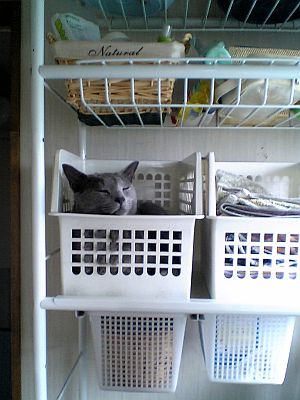 狭いとこふぇち。