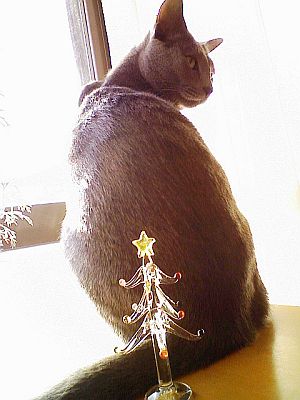 想像してごらん。