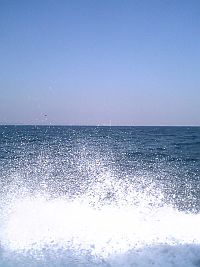 佐久島にて釣り編。