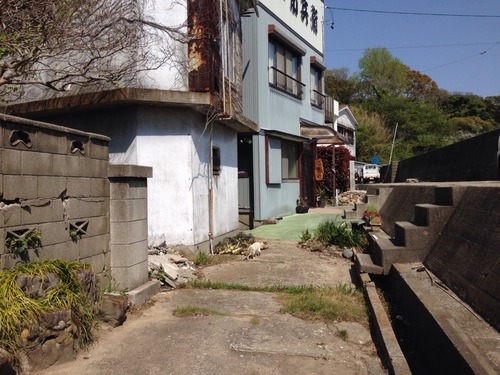 佐久島2014その4。