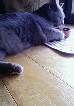 水分補給しましょう。