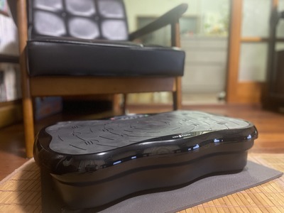 お家でブルブル。