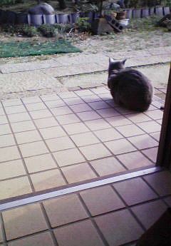 大人の楽しみ。