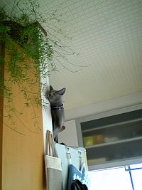 無限の可能性。