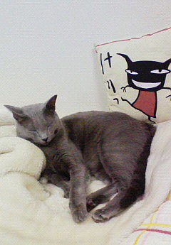 ほんとはいい匂い。