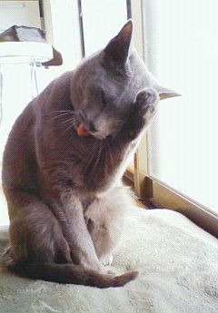 自分立直し術。