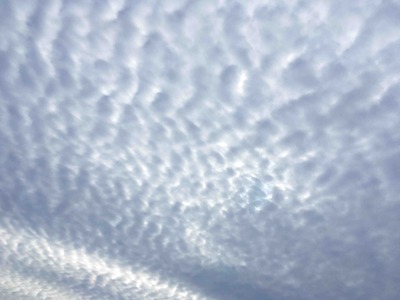 みなさんいつもありがとうございます。