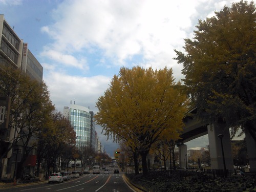 熱田の杜。