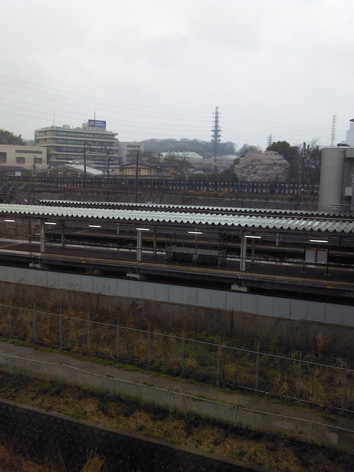 車窓はグレイッシュピンク。