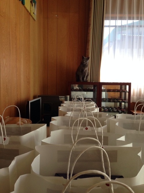 猫の手も借りたい。