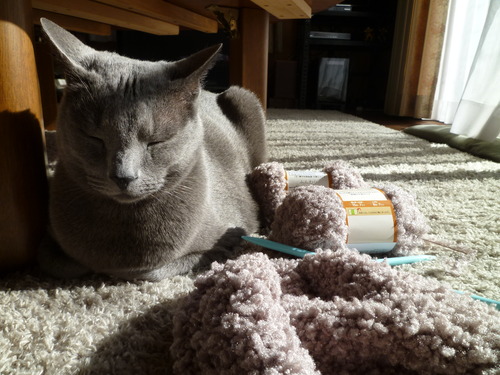 内側から始まる。